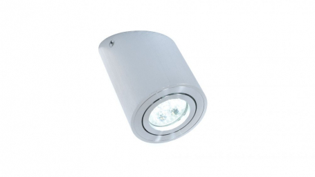 Настенно-потолочный светильник Lumina Deco Alesti LDC 8060-D JP-D80*H130 SL