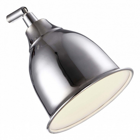 Настенно-потолочный светильник Arte Lamp Campana A9557AP-1CC