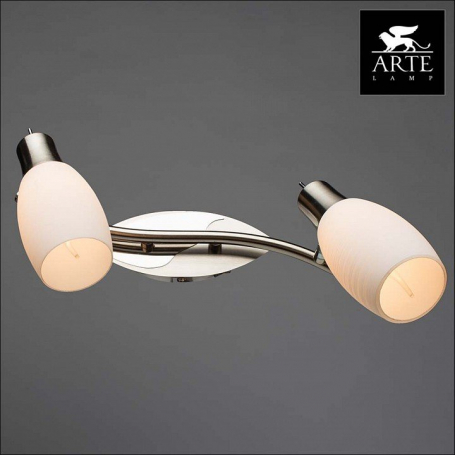 Настенно-потолочный светильник Arte Lamp Volare A4590AP-2SS