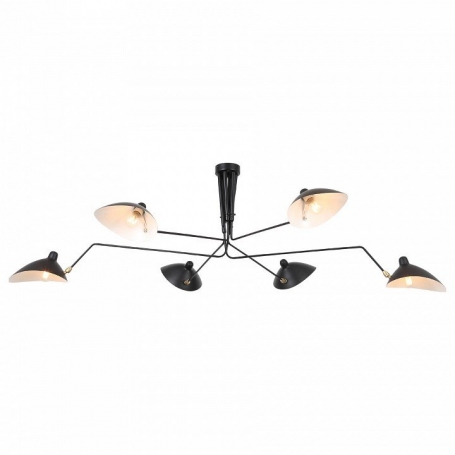 Подвесная люстра ST Luce Spruzzo SL305.402.06