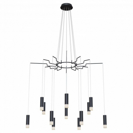 Подвесная люстра Maytoni Technical Mod035 MOD035PL-12B