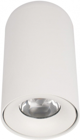 Потолочный светодиодный светильник Loft IT Tictac 10220 White 4000K