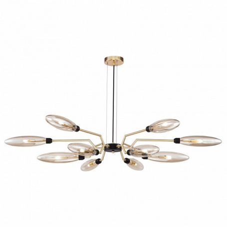 Подвесная люстра Maytoni Modern Mod012 MOD012CL-12G