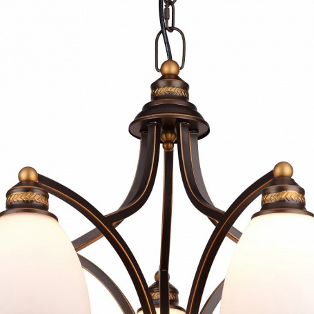 Подвесная люстра Arte Lamp Bonito A9518LM-5BA