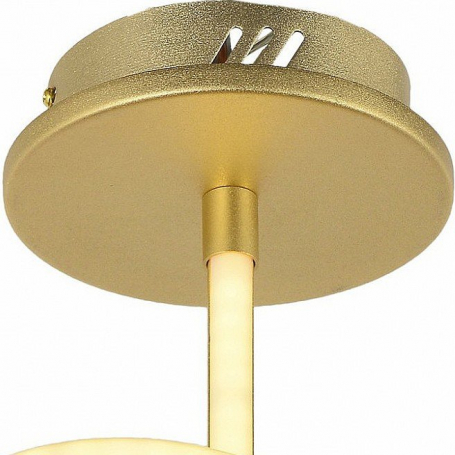 Потолочный светодиодный светильник Arti Lampadari Angelo L 1.2.35.03 G