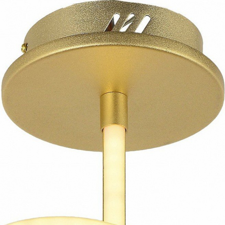 Потолочный светодиодный светильник Arti Lampadari Angelo L 1.2.35.03 G
