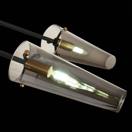 Подвесная люстра ST Luce Morave SL1209.302.06