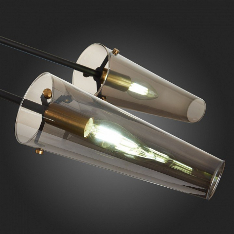 Подвесная люстра ST Luce Morave SL1209.302.06