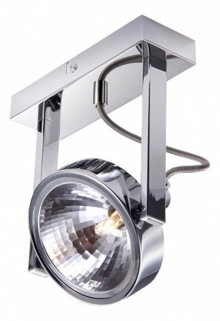 Потолочный светильник Arte Lamp Faccia A4507AP-1CC