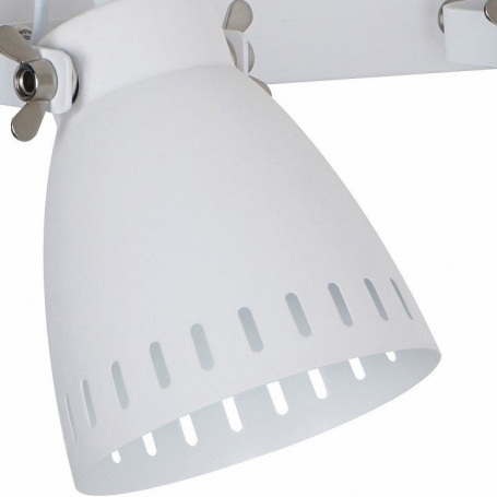 Настенно-потолочный светильник Arte Lamp Luned A2214AP-2WH