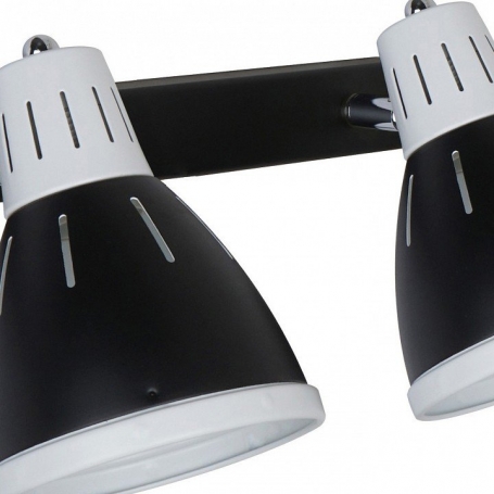Настенно-потолочный светильник Arte Lamp Marted A2215AP-2BK