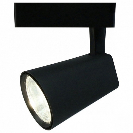 Потолочный светильник Arte Lamp 1830 A1830PL-1BK