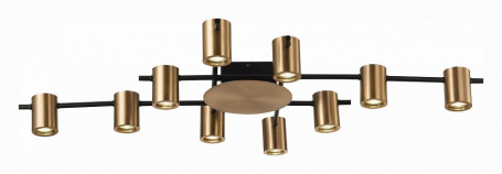 Потолочная люстра ST Luce Veroli SL1207.402.10
