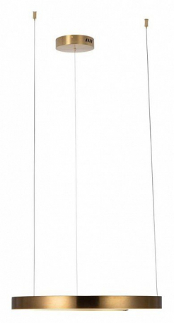 Подвесной светодиодный светильник Loft IT Ring 10013M