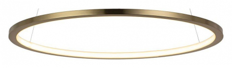 Подвесной светодиодный светильник Loft IT Ring 10014M