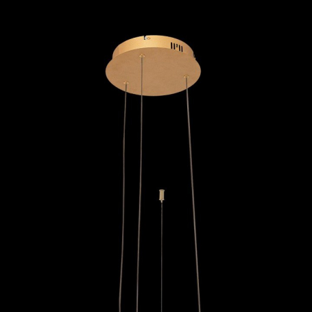 Подвесной светодиодный светильник Loft IT Ring 10017/3L