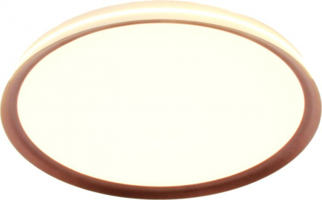 Потолочный светильник Titan MZ31502-640