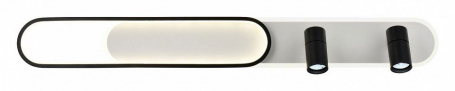 Настенно-потолочный светильник Planar 4076-2C