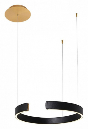 Подвесной светодиодный светильник Loft IT Ring 10025/400 Black