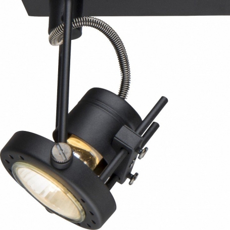 Настенно-потолочный светильник Arte Lamp Costruttore A4300AP-2BK