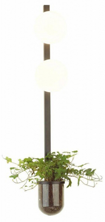 Настенный светильник Odeon Light Flower 4681/2WA