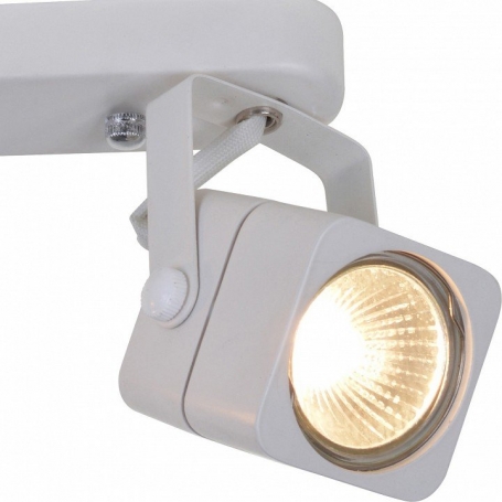 Настенно-потолочный светильник Arte Lamp Lente A1314PL-2WH