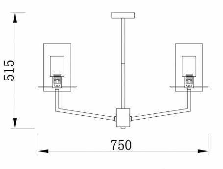 Подвесная люстра Arte Lamp Eliza A1009SP-10CC