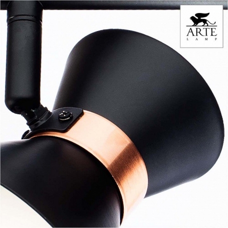 Настенно-потолочный светильник Arte Lamp Baltimore A1406AP-2BK