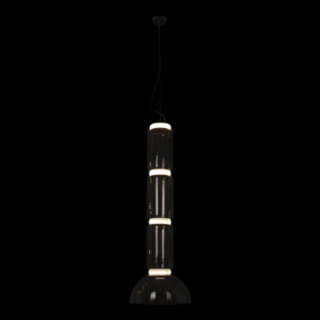 Подвесной светодиодный светильник Loft IT Noctambule 10192/L