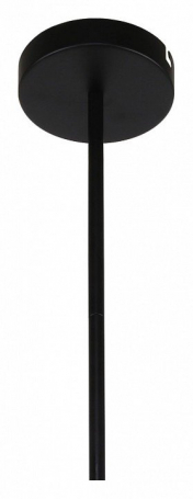 Подвесная люстра F-Promo Ducan 3094-6P