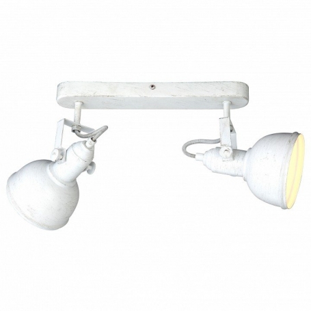 Настенно-потолочный светильник Arte Lamp Martin A5213AP-2WG