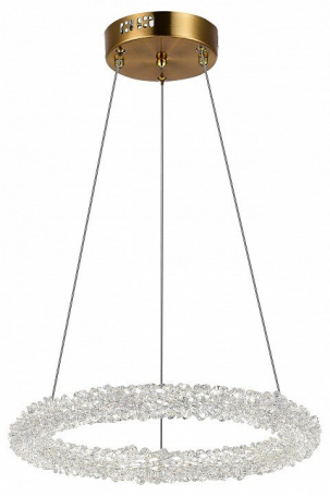 Подвесной светодиодный светильник ST Luce Avana SL6110.203.01