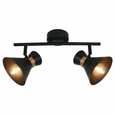 Настенно-потолочный светильник Arte Lamp Baltimore A1406AP-2BK