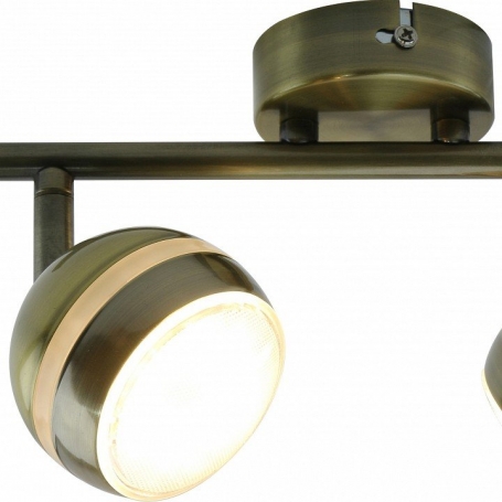 Настенно-потолочный светильник Arte Lamp Venerd A6009PL-2AB