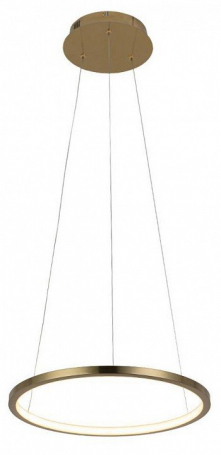 Подвесной светодиодный светильник Loft IT Ring 10014S