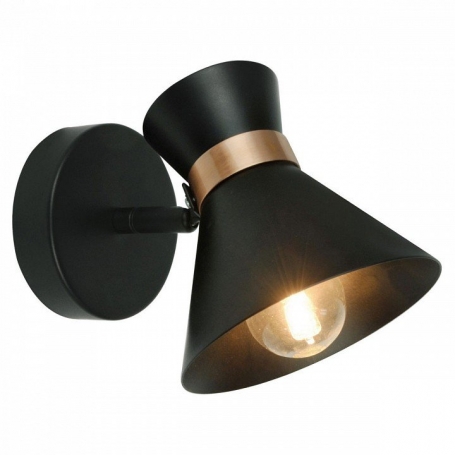 Настенный светильник Arte Lamp Baltimore A1406AP-1BK