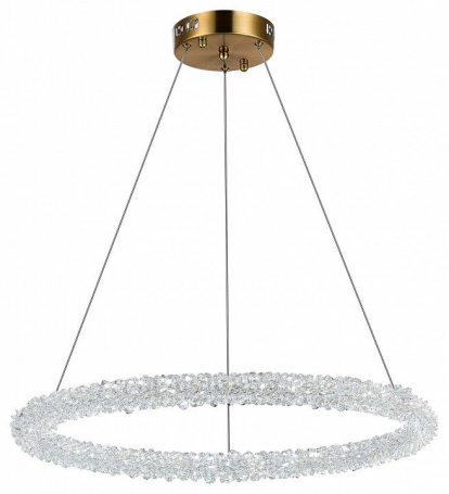 Подвесной светодиодный светильник ST Luce Avana SL6110.213.01