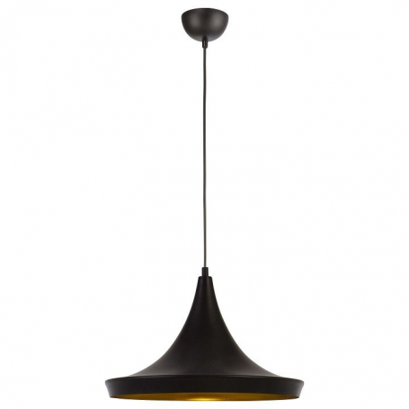 Подвесной светильник Arte Lamp Cappello A3406SP-1BK
