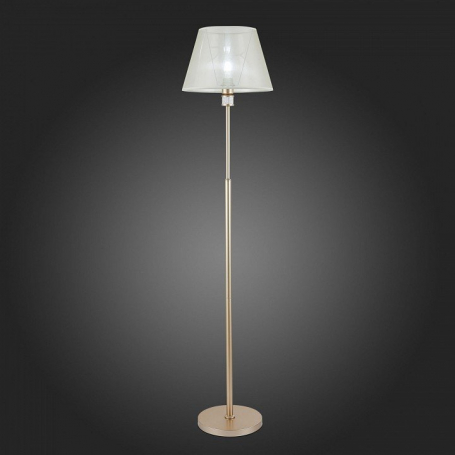Торшер Evoluce Manila SLE107505-01