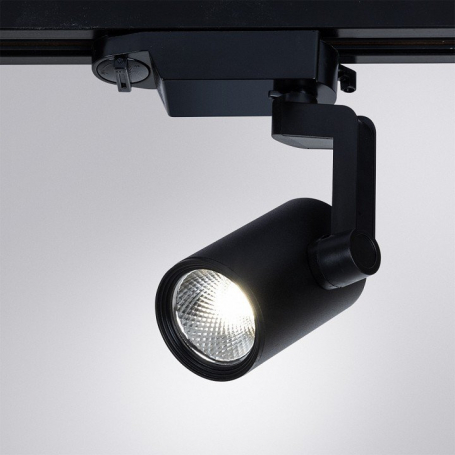 Потолочный светильник Arte Lamp 2310 A2310PL-1BK