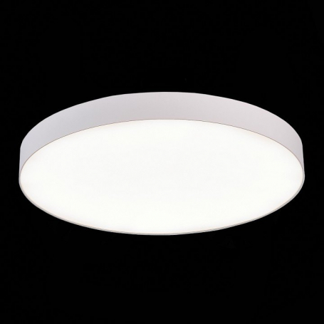 Потолочный светодиодный светильник ST Luce ST606.542.96