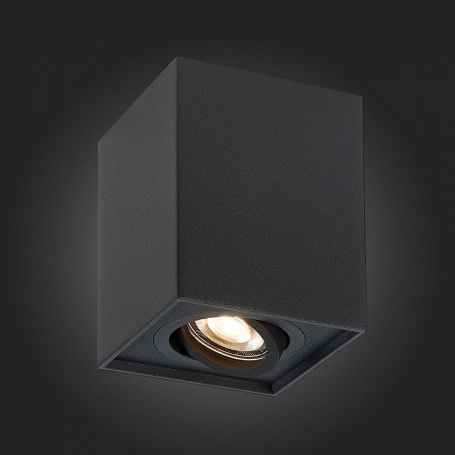 Потолочный светильник ST Luce ST109.407.01