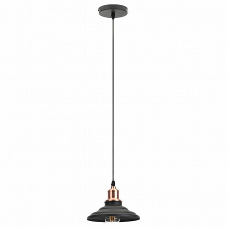 Подвесной светильник ЭРА Loft PL4 BK/RC