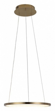 Подвесной светодиодный светильник Loft IT Ring 10014S