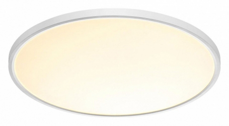 Настенно-потолочный светодиодный светильник Sonex Mitra Alfa White 7659/48L