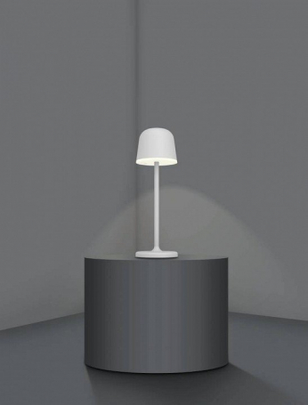 Настольная светодиодная лампа Eglo Mannera 900458