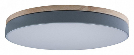 Потолочный светильник Loft IT Axel 10001/36 Grey
