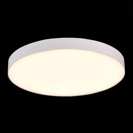 Потолочный светодиодный светильник ST Luce ST606.532.96
