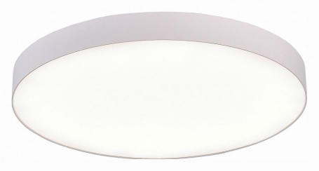 Потолочный светодиодный светильник ST Luce ST606.542.96