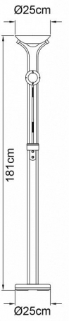 Торшер Arte Lamp Duetto A4329PN-2AB